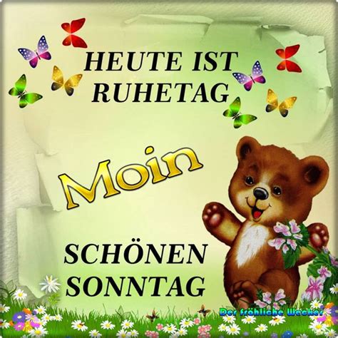 lustige sprüche zum sonntag